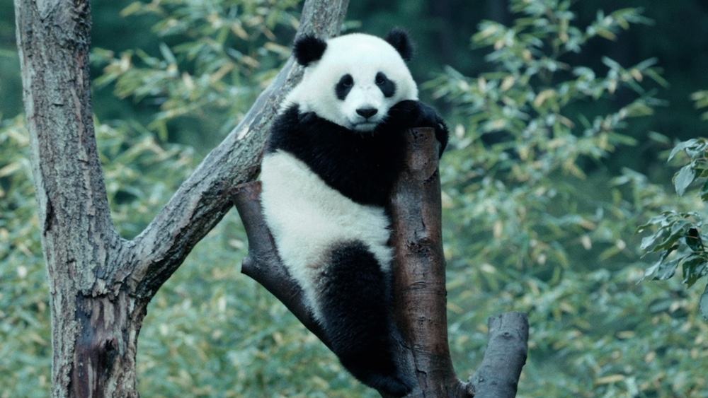 『ほどなく、お別れです』浜辺美波×目黒蓮、愛する人との“お別れ”を描いたヒューマンドラマ