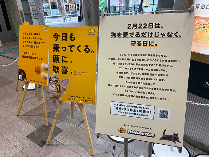 イエローハットが“猫の日”に向けた初のリアルイベント「猫パンチで募金」を渋谷マークシティで実施「猫を愛でるだけじゃなく守る日に」