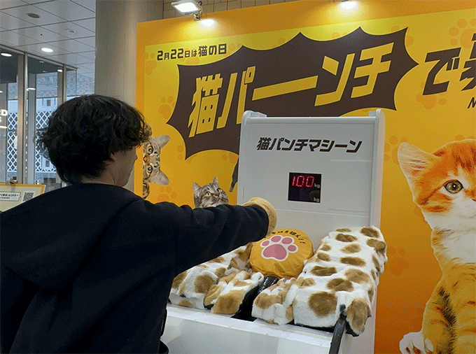 イエローハットが“猫の日”に向けた初のリアルイベント「猫パンチで募金」を渋谷マークシティで実施「猫を愛でるだけじゃなく守る日に」