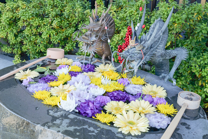 黒猫が導く必勝の神社！？　猫神社とも呼ばれる妙義神社にてランパンプスが合格祈願！