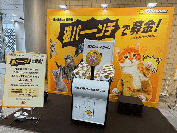 イエローハットが“猫の日”に向けた初のリアルイベント「猫パンチで募金」を渋谷マークシティで実施「猫を愛でるだけじゃなく守る日に」