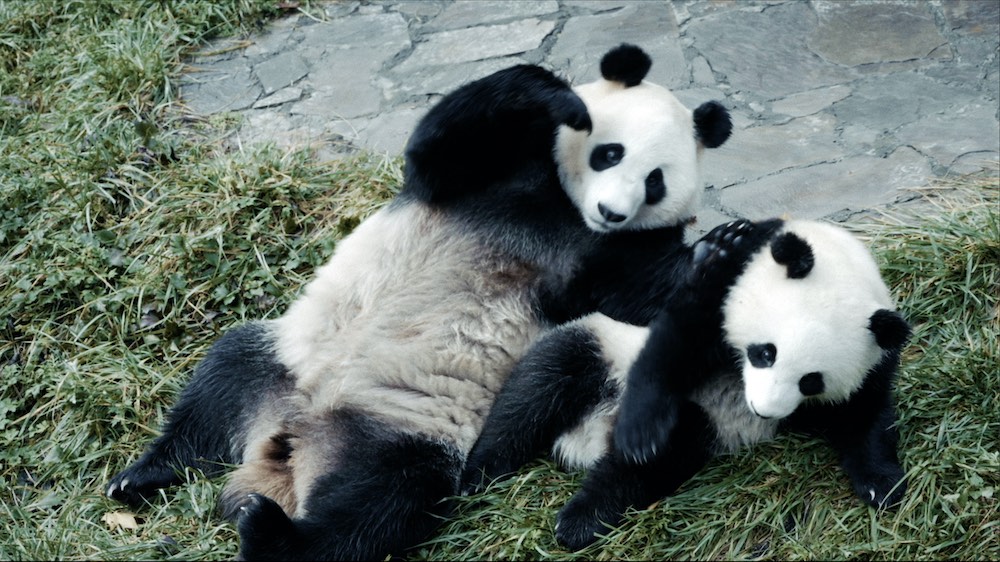 『ほどなく、お別れです』浜辺美波×目黒蓮、愛する人との“お別れ”を描いたヒューマンドラマの写真