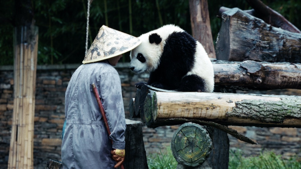 『ほどなく、お別れです』浜辺美波×目黒蓮、愛する人との“お別れ”を描いたヒューマンドラマの写真