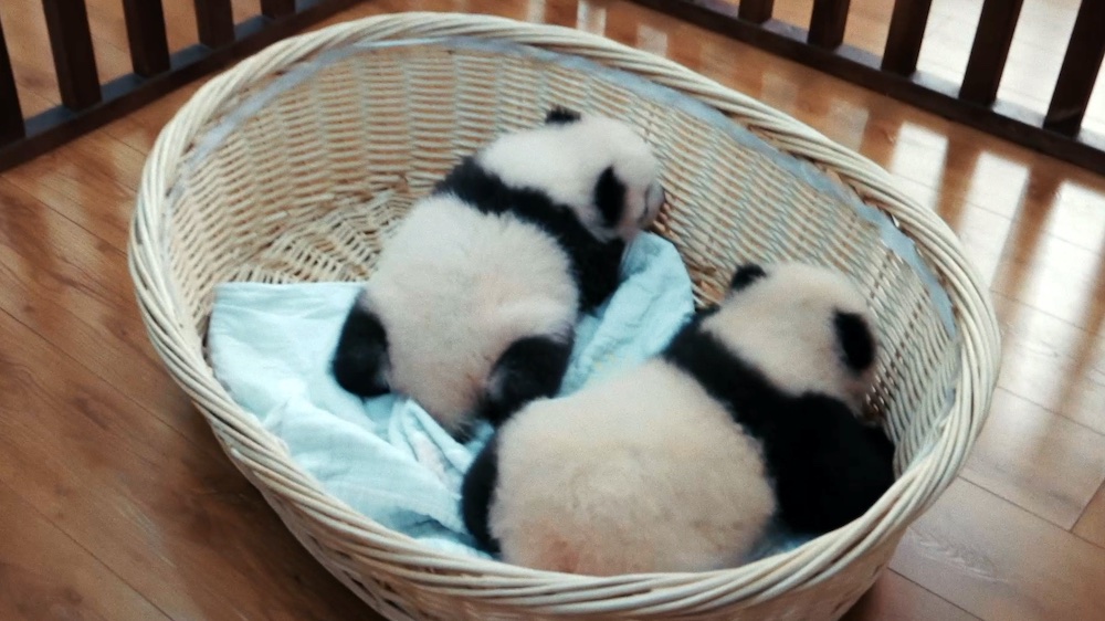 『ほどなく、お別れです』浜辺美波×目黒蓮、愛する人との“お別れ”を描いたヒューマンドラマの写真