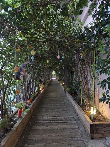 空と海と森――春の静岡の新たな魅力を発見する、「リゾナーレ熱海」での夢体験の写真