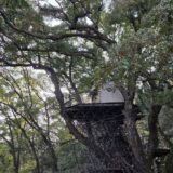 アーチを抜けて見えてくるツリーハウス(※装飾は季節によって異なります)