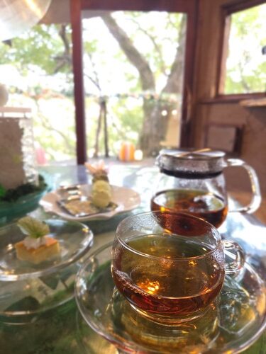 空と海と森――春の静岡の新たな魅力を発見する、「リゾナーレ熱海」での夢体験の写真