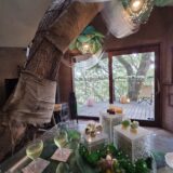 樹齢300年を超えるクスノキに見守られるあたたかな空間でいただく