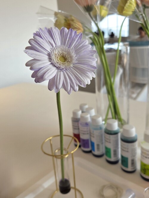 空と海と森――春の静岡の新たな魅力を発見する、「リゾナーレ熱海」での夢体験の写真