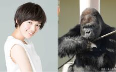 佐藤栞里、シャバーニ