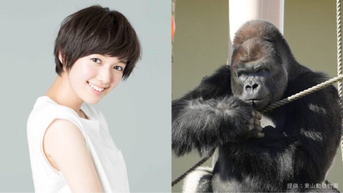 佐藤栞里、シャバーニ