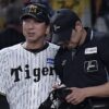 【阪神】金村義明氏、伏見の代打登場に「驚きましたね」