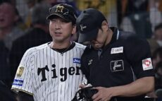 【阪神】金村義明氏、伏見の代打起用に「驚きましたね」