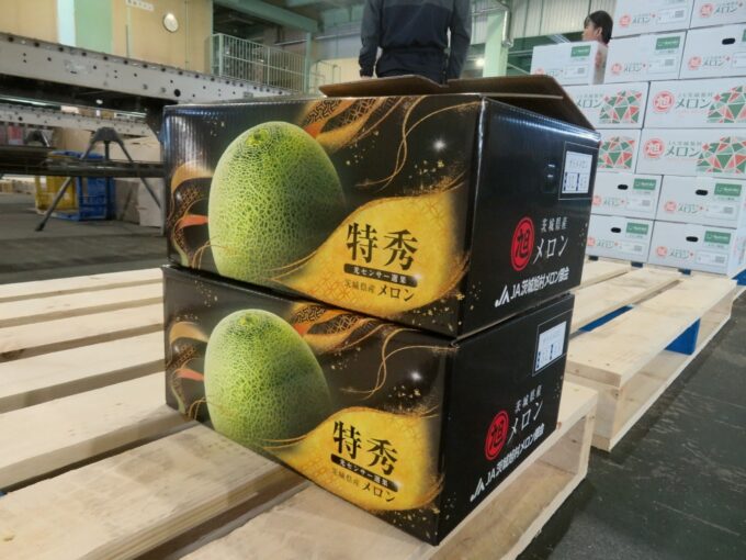 出荷されるオトメメロン