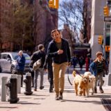 (C)2026 Searchlight Pictures. All Rights Reserved.