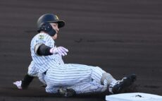 桧山氏、阪神・福島の“1つ先の塁を狙う”積極的な姿勢に「いいですね」