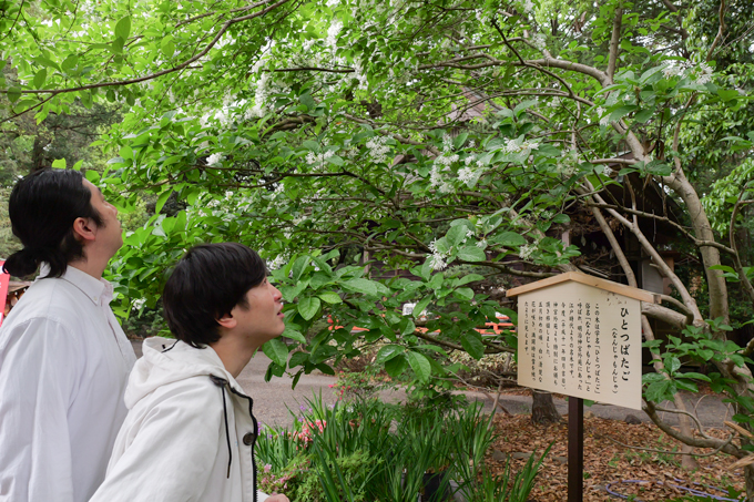「小さいおじさん」の正体とは！？　東京のへそ・大宮八幡宮にてランパンプスが合格祈願！