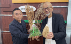 形はバラバラ、でも異常にうまい。農家が守り続ける「古来種野菜」とは