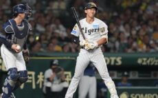 阪神ドラ1・立石、打率.409で交流戦突入も…八木裕氏「交流戦でプロの厳しさ」