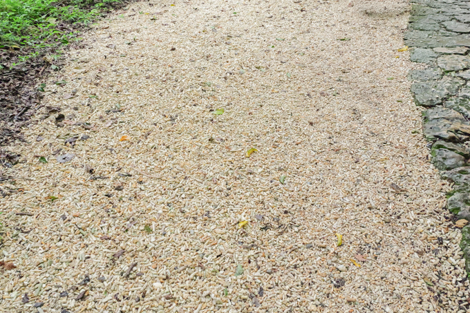 琉球王国最高の聖地！？　世界遺産・斎場御嶽でランパンプスが祈りの真髄を学ぶ！