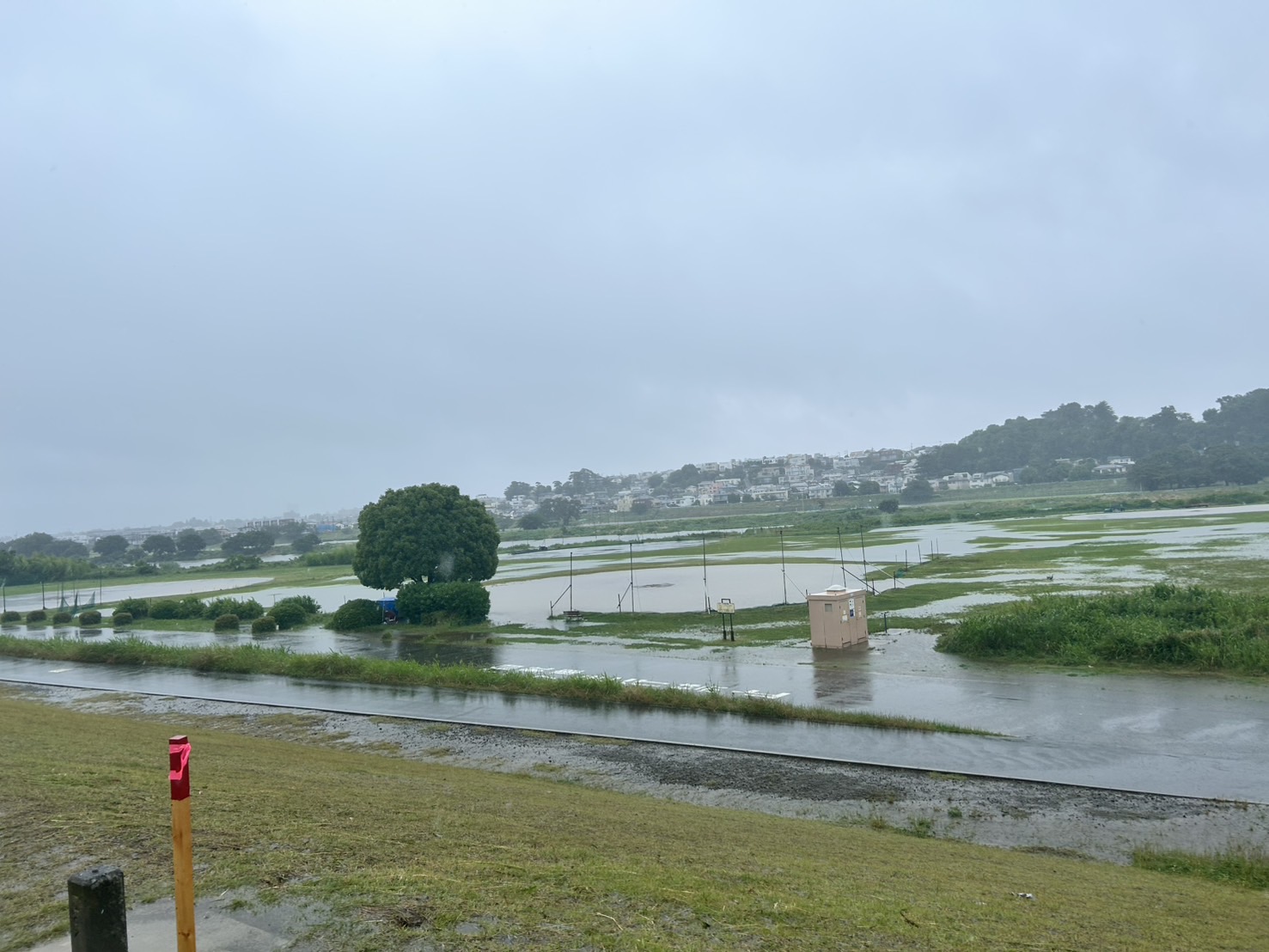 新しい防災気象情報 台風6号への対応は?【みんなの防災】