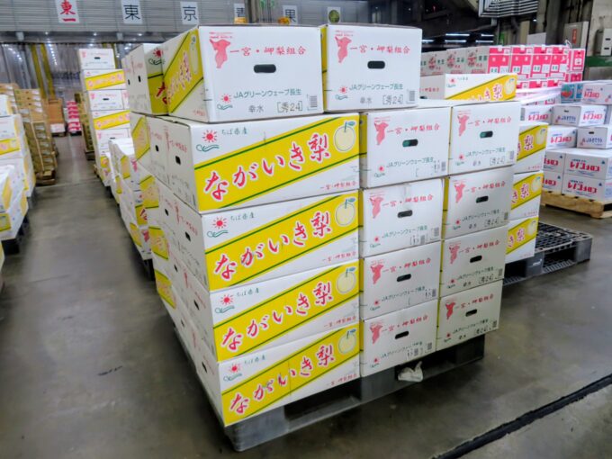 千葉県産「ながいき梨」ケース