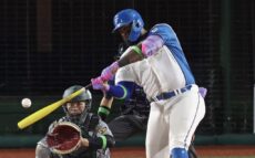 日本ハム・レイエス、パワーだけじゃない！　真中氏「柔軟で状況に応じたバッティングができる」