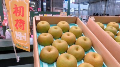 東京・大田市場で千葉県産梨「幸水」初競り