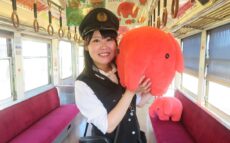 銚子電鉄がドムドムハンバーガーとコラボ 銚電まつりでお披露目