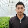 北海道で栽培される夏いちご　インストラクターから苺農家に転身した男性の物語