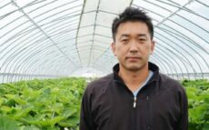 北海道で栽培される夏いちご　インストラクターから苺農家に転身した男性の物語