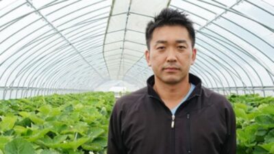 北海道で栽培される夏いちご　インストラクターから苺農家に転身した男性の物語