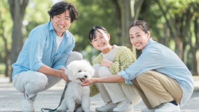※イメージ画像