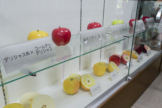 青森のおいしいを科学する！？　地域食材を活かす弘前大学の農学研究にランパンプスが迫る！