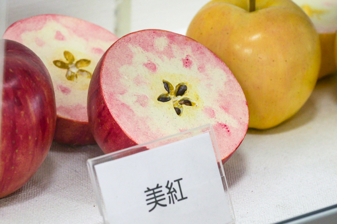 青森のおいしいを科学する！？　地域食材を活かす弘前大学の農学研究にランパンプスが迫る！