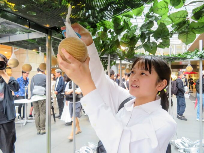 梨狩りの様子