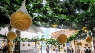 六本木で千葉県産オリジナル梨「秋満月」をPR